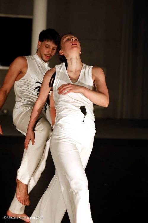folkwang-tanzstudio_33A6125.jpg