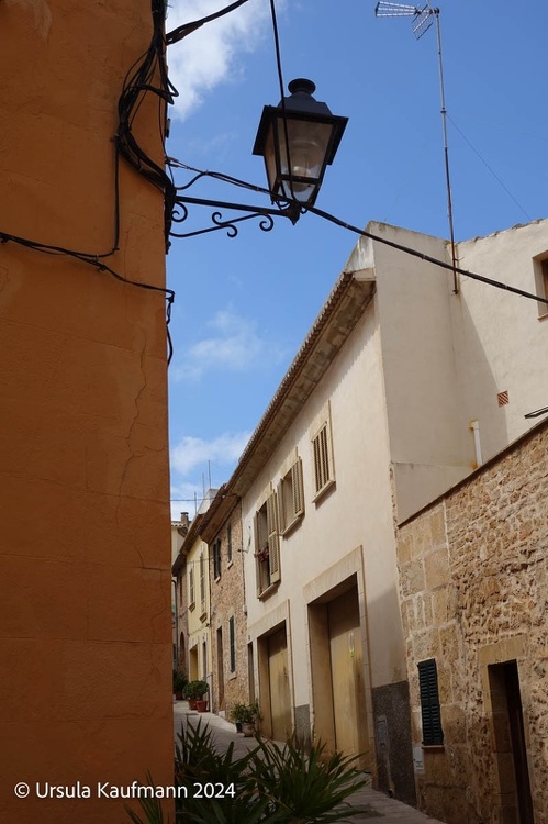 DSC01785.jpg