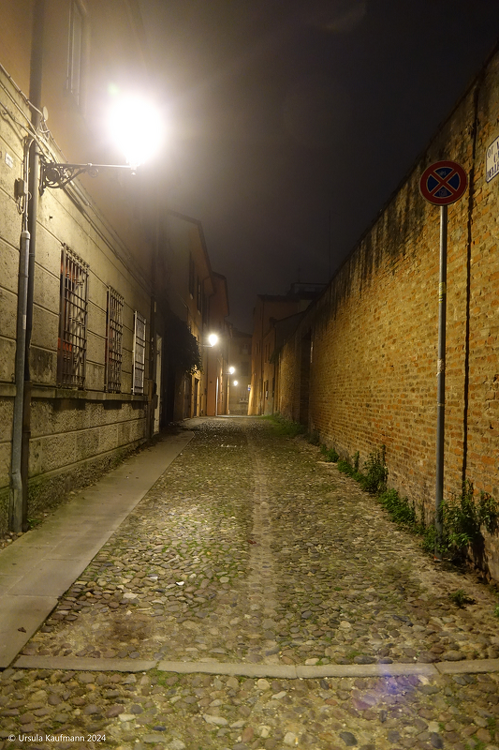 DSC02828.png
