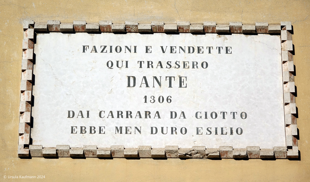 DSC02973.png