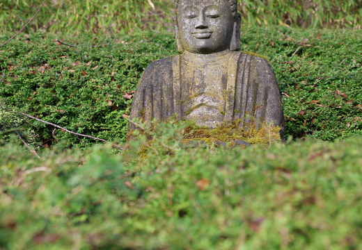 5V7A0597