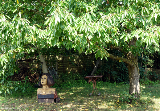 DSC06038