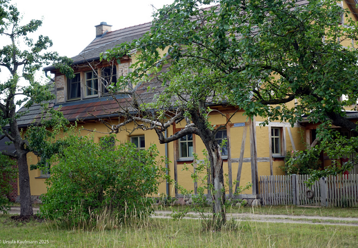 DSC06077