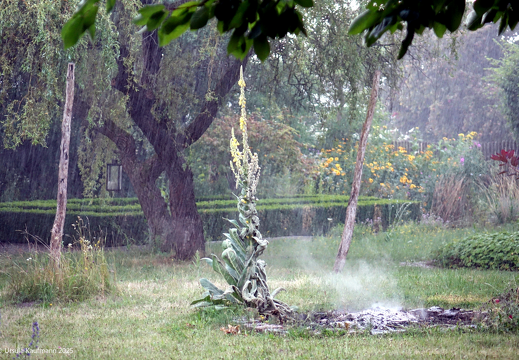 DSC06128