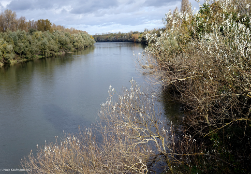 DSC07990