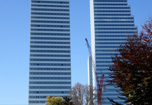 DSC08266