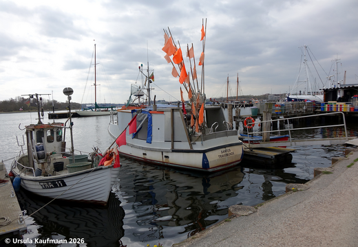 DSC09748