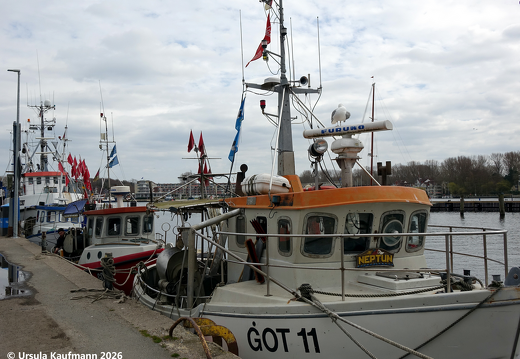 DSC09753
