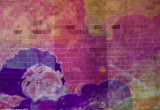 5V7A2356