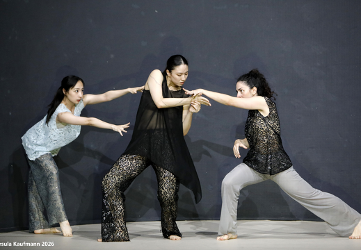  33A3689