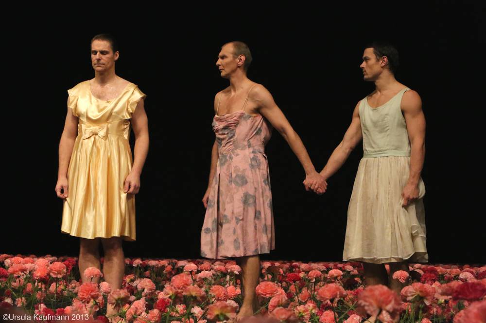 Nelken-Ein Stück von Pina Bausch