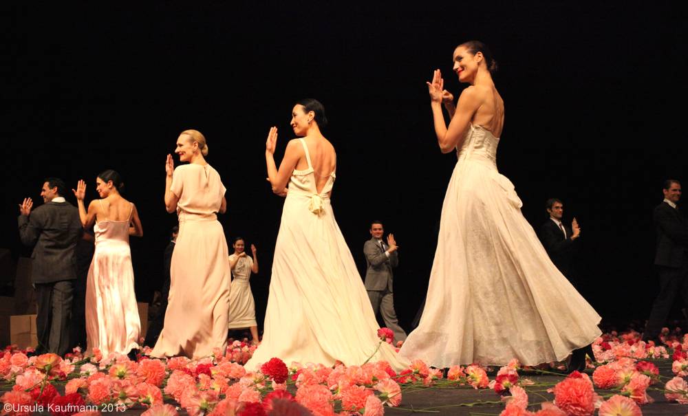 Nelken-Ein Stück von Pina Bausch