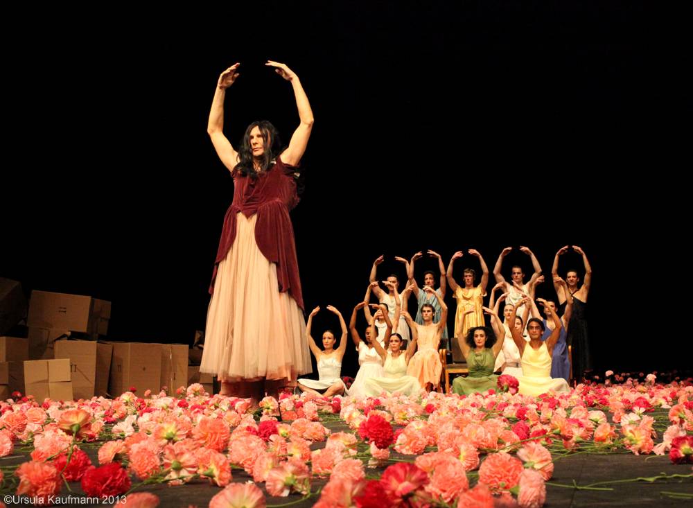 Nelken-Ein Stück von Pina Bausch