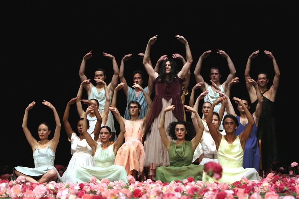 Nelken-Ein Stück von Pina Bausch